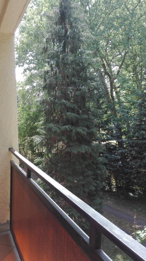 Gyoengyvirag Ueduelo - Mario Apartman Harkány Extérieur photo